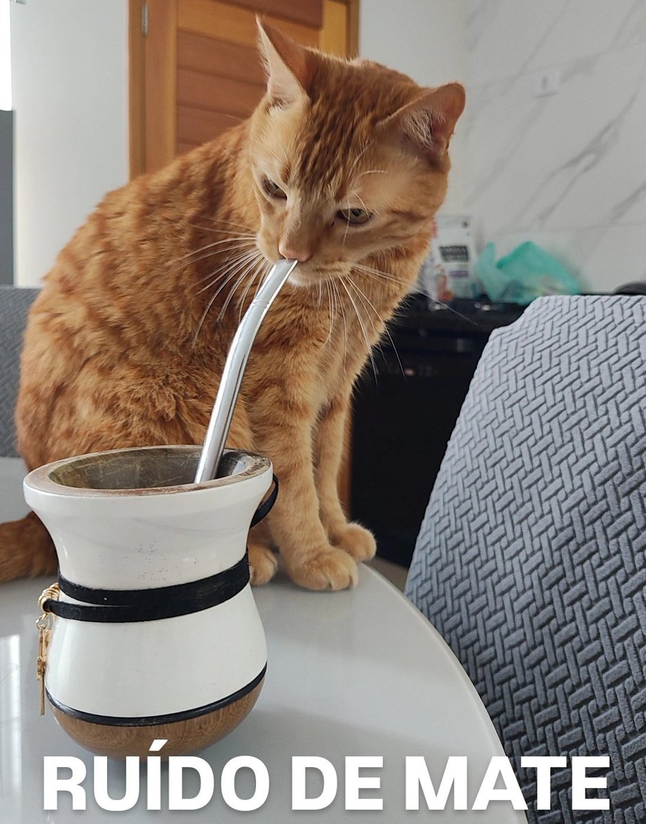 chicorinha_'s tweet image. Assuntos urgentes ⚠️⚠️⚠️⚠️