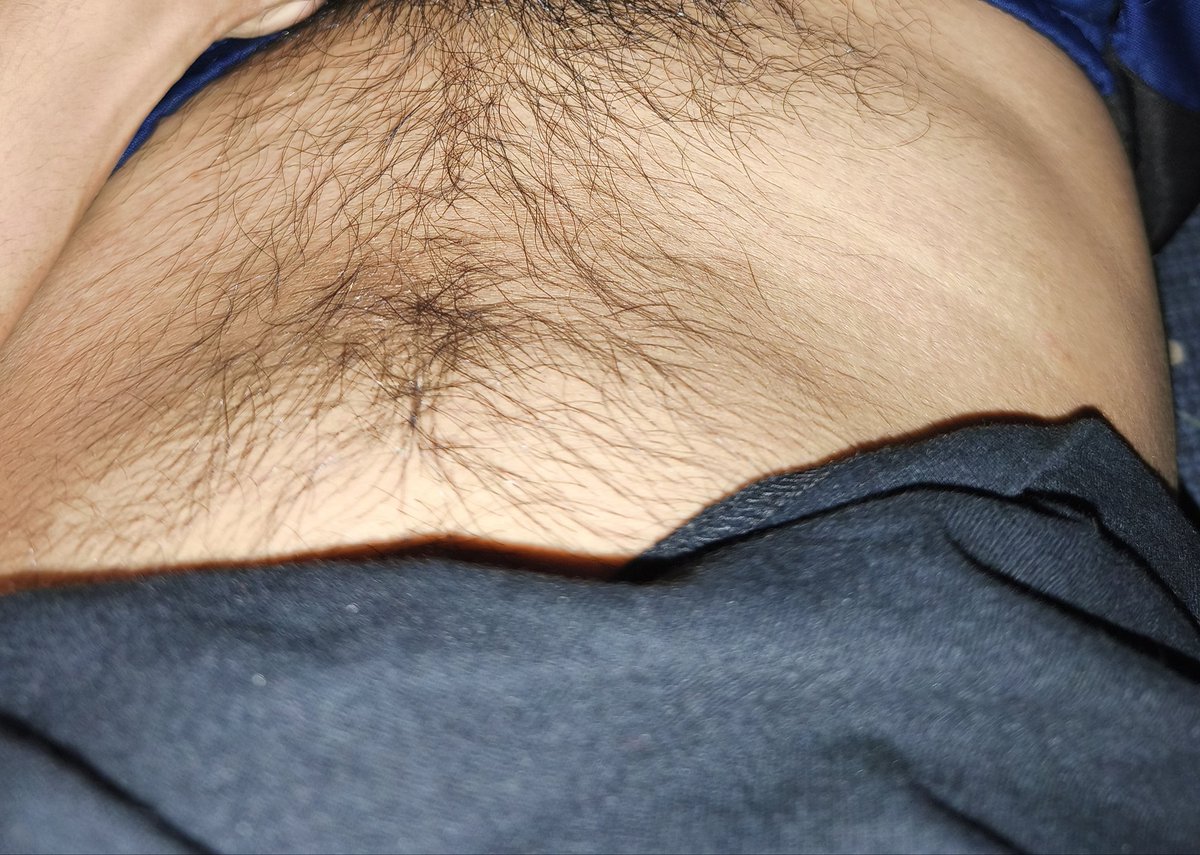 Sansandi12 tweet media