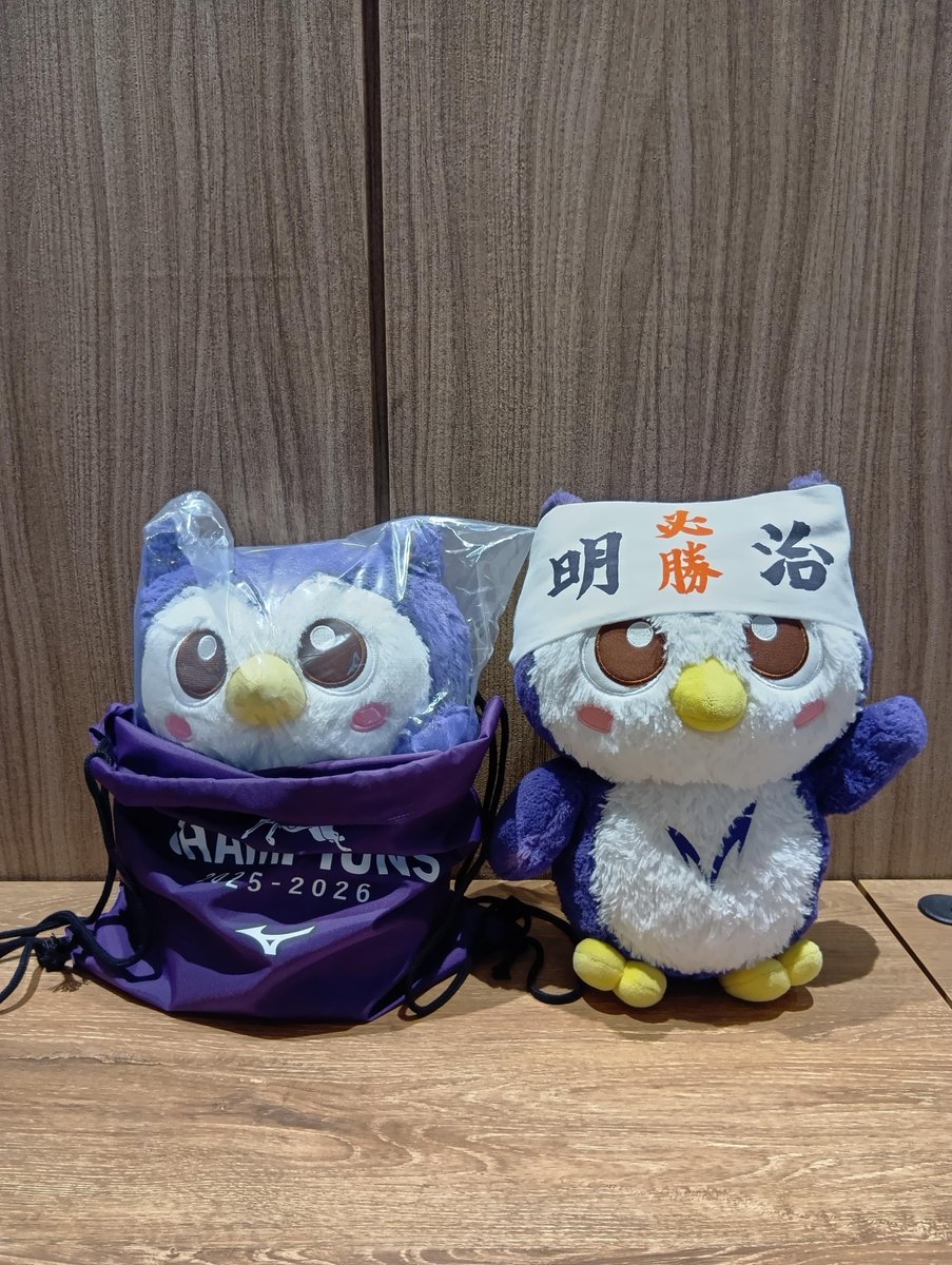 非売品】明治大学公認キャラクター めいじろうぬいぐるみ 【公式通販】