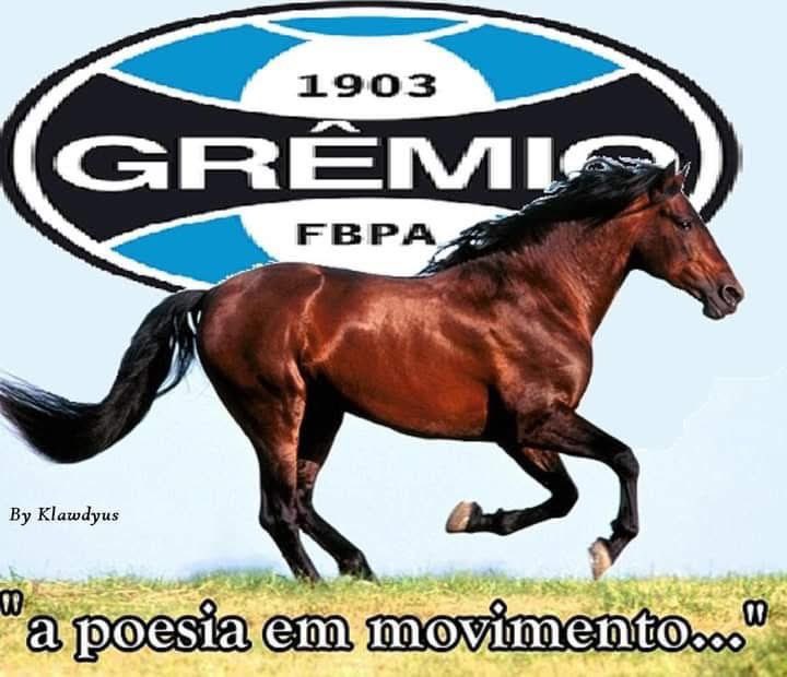 Guilherm1903's tweet photo. @Gremio De se emocionar https://t.co/UcS1yfffw8