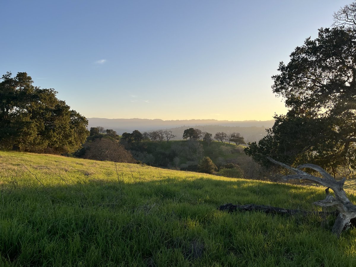 Katie Scally tweet media