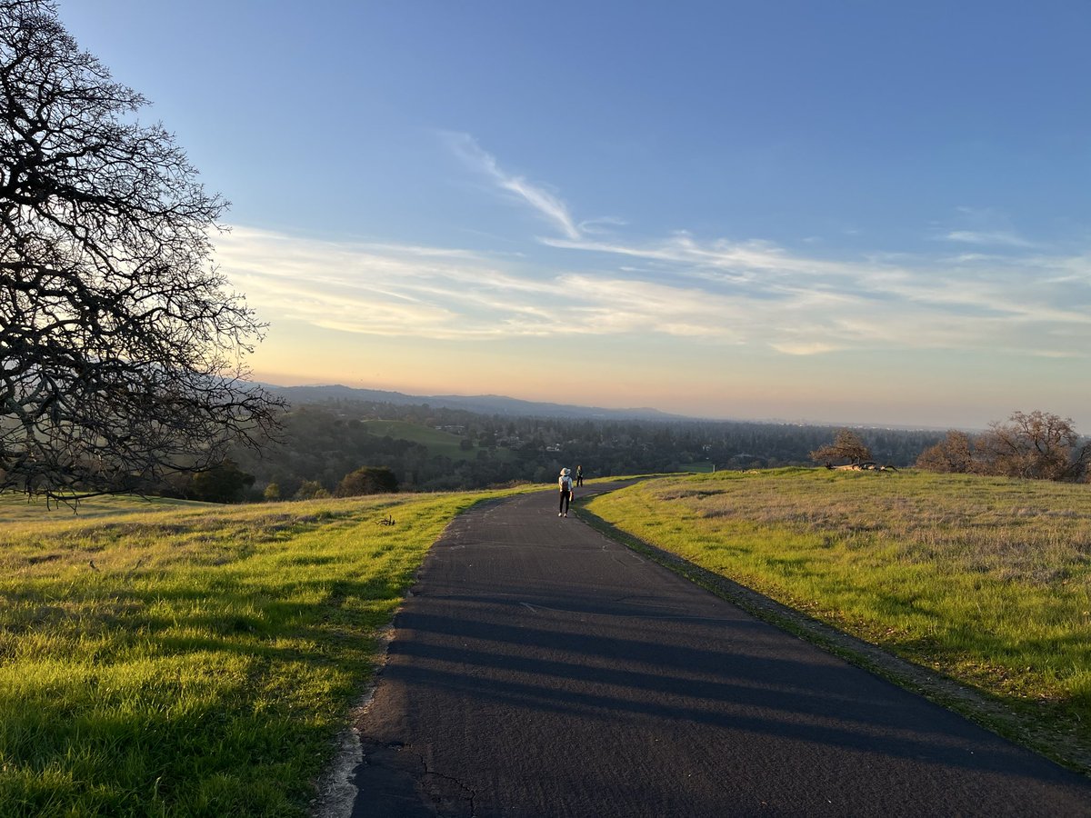 Katie Scally tweet media