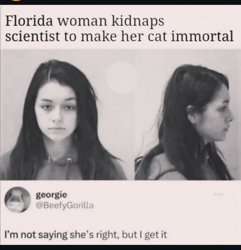 catshealdeprsn's tweet image. 