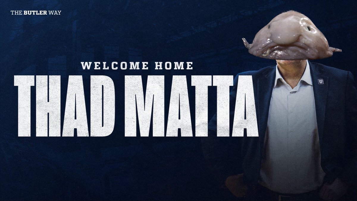 Baggy Xav (@baggyxav) on Twitter photo 