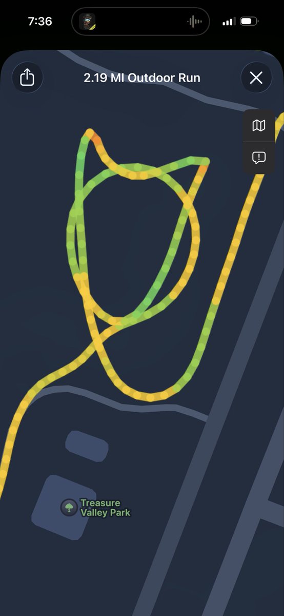 Cody Mace tweet media