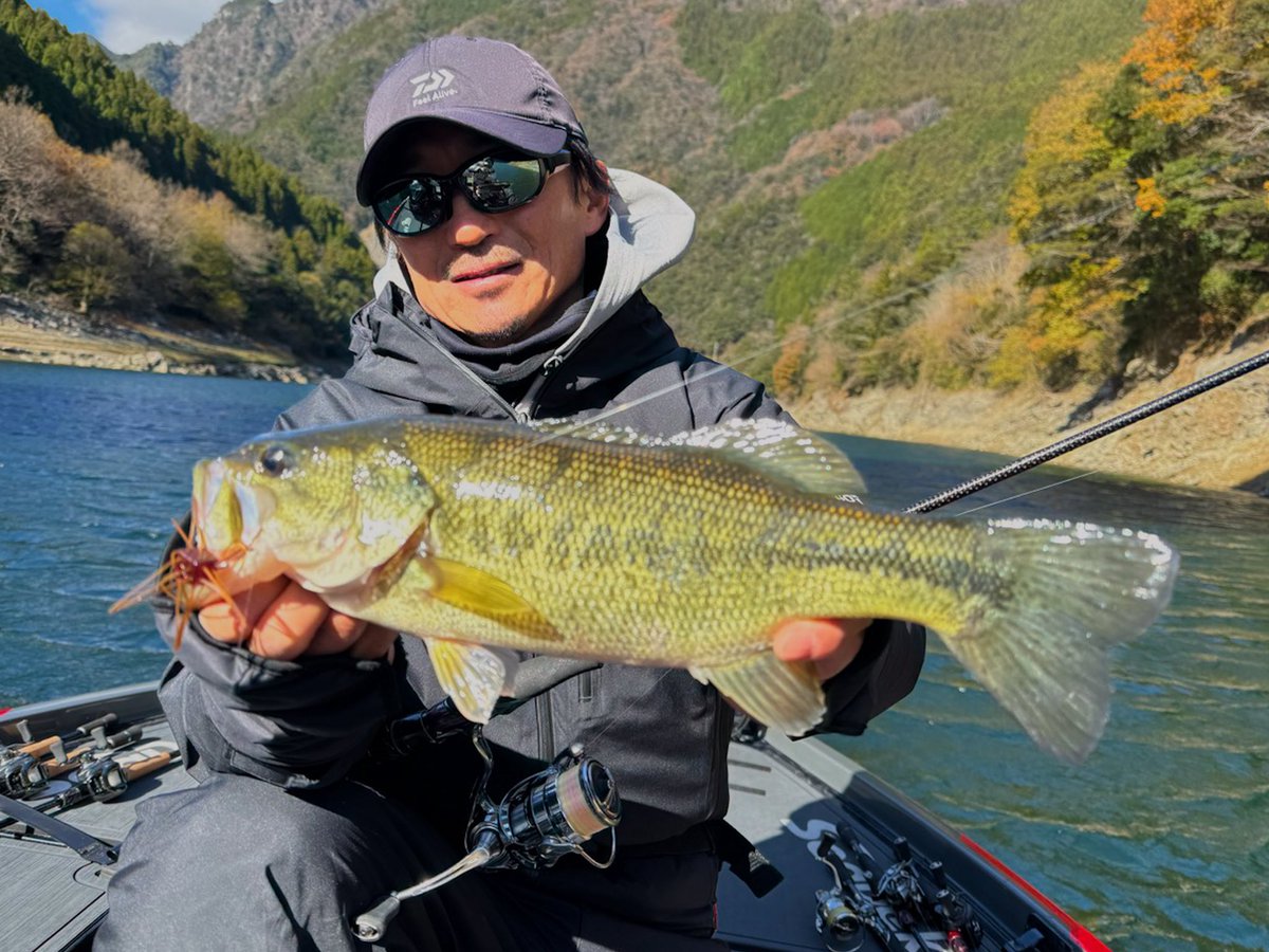 DAIWA BASS【Ultimate BASS】 tweet media