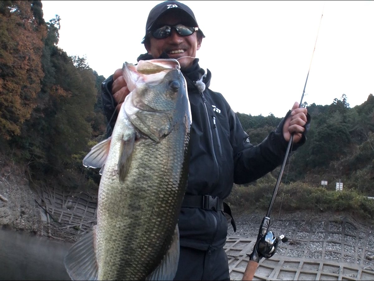 DAIWA BASS【Ultimate BASS】 tweet media