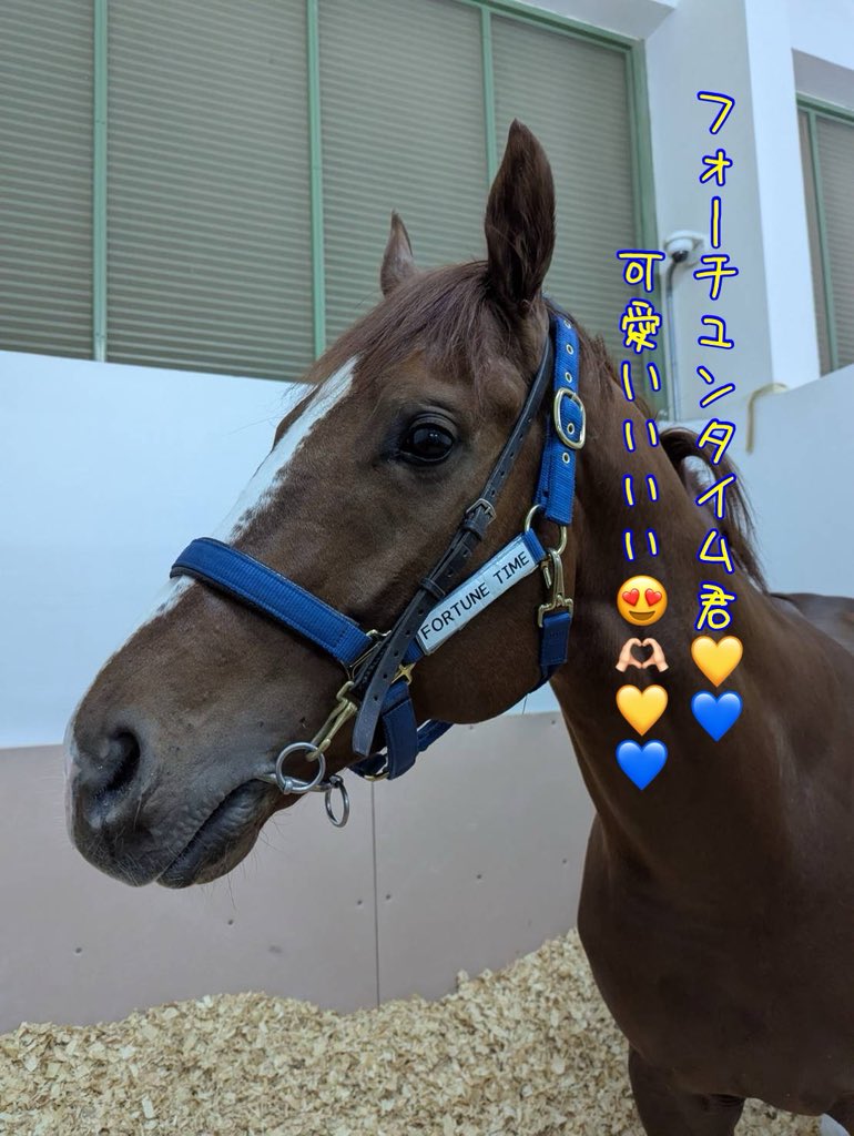 ちゃんひー (@chanhi2510) / Posts / X