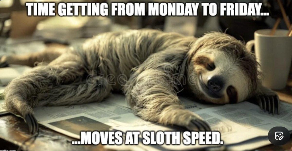 MXc528's tweet photo. Relatable? Tag a friend who's also counting down to Friday. #MCO335 #workweek https://t.co/VjYNyWn5hq
