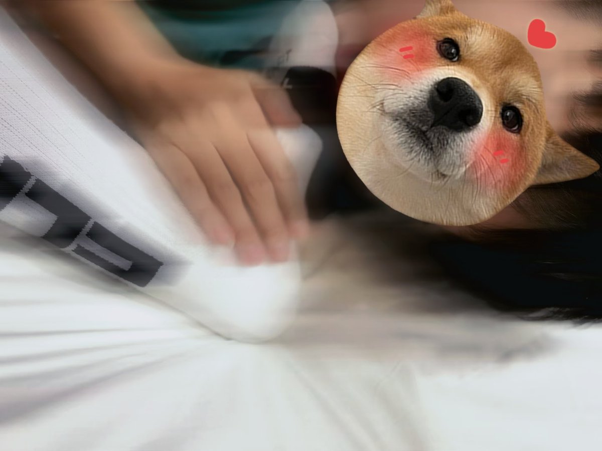 琛谶宇 tweet media