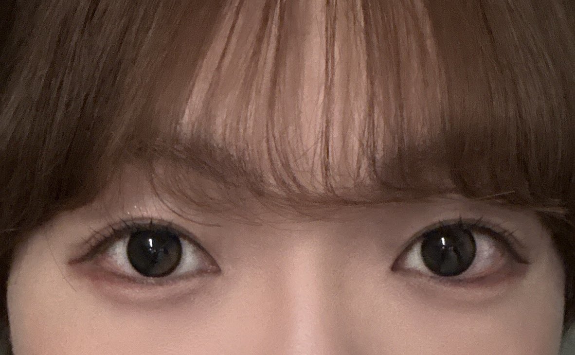 今日のアイメイクあまりにも成功すぎてる