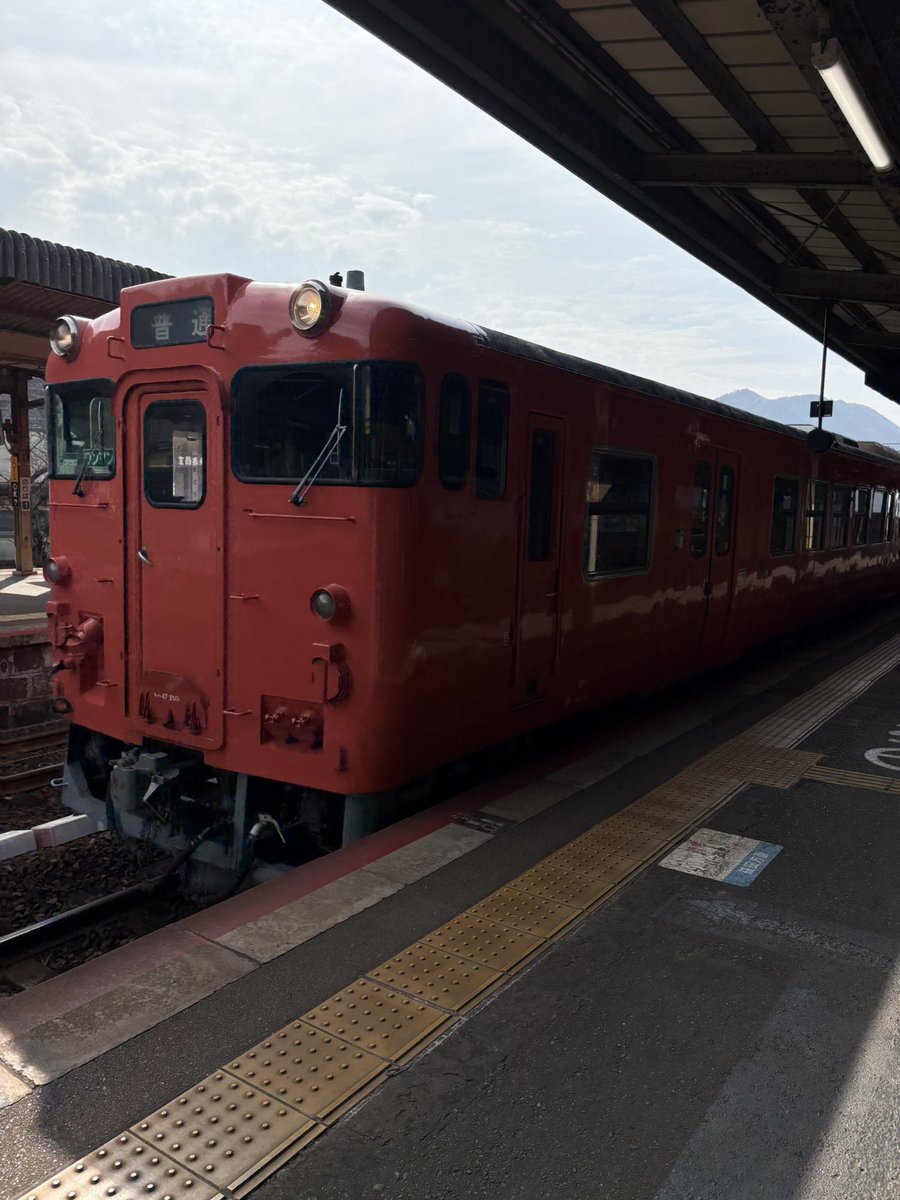 ワコウ tweet media