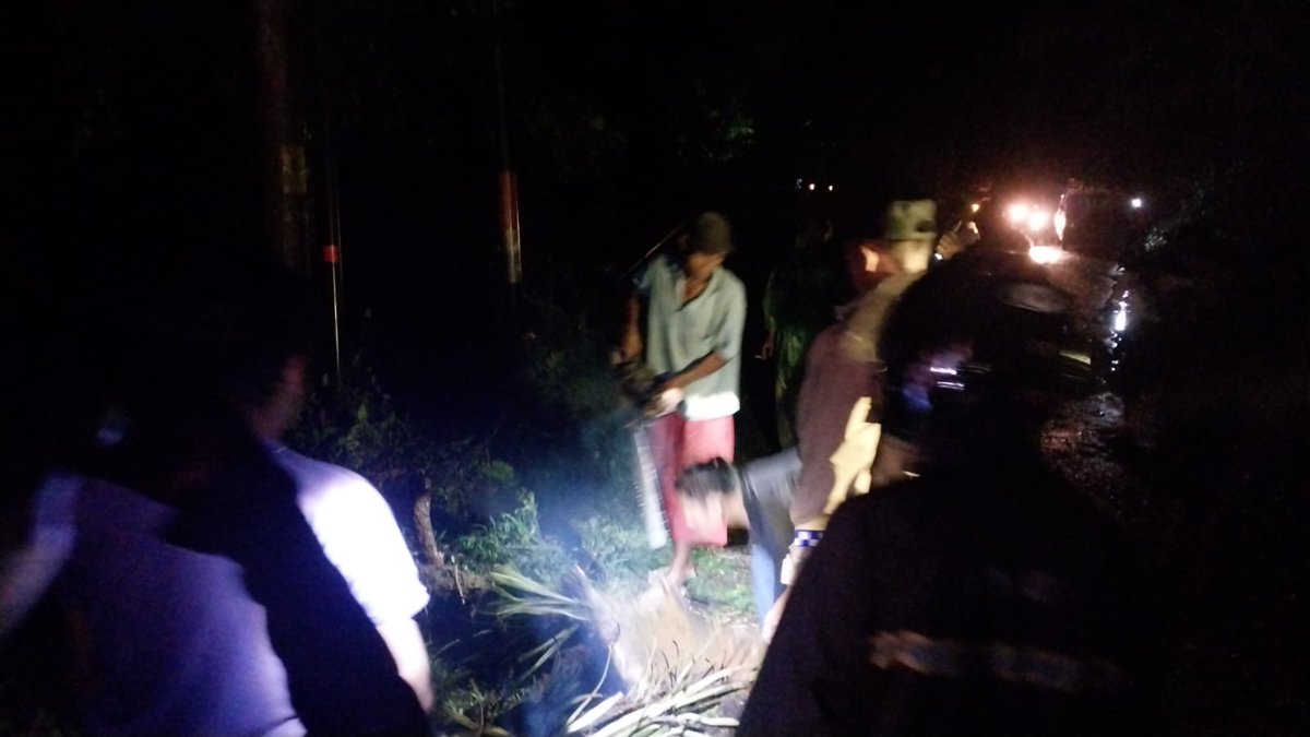 Cuaca ekstrem berupa hujan deras disertai angin kencang mengakibatkan pohon pinus tumbang dan menutup akses Jalan Totogan–Karangsambung, Desa Totogan, Kecamatan Karangsambung, Kabupaten Kebumen, pada Rabu (4/2/2026)