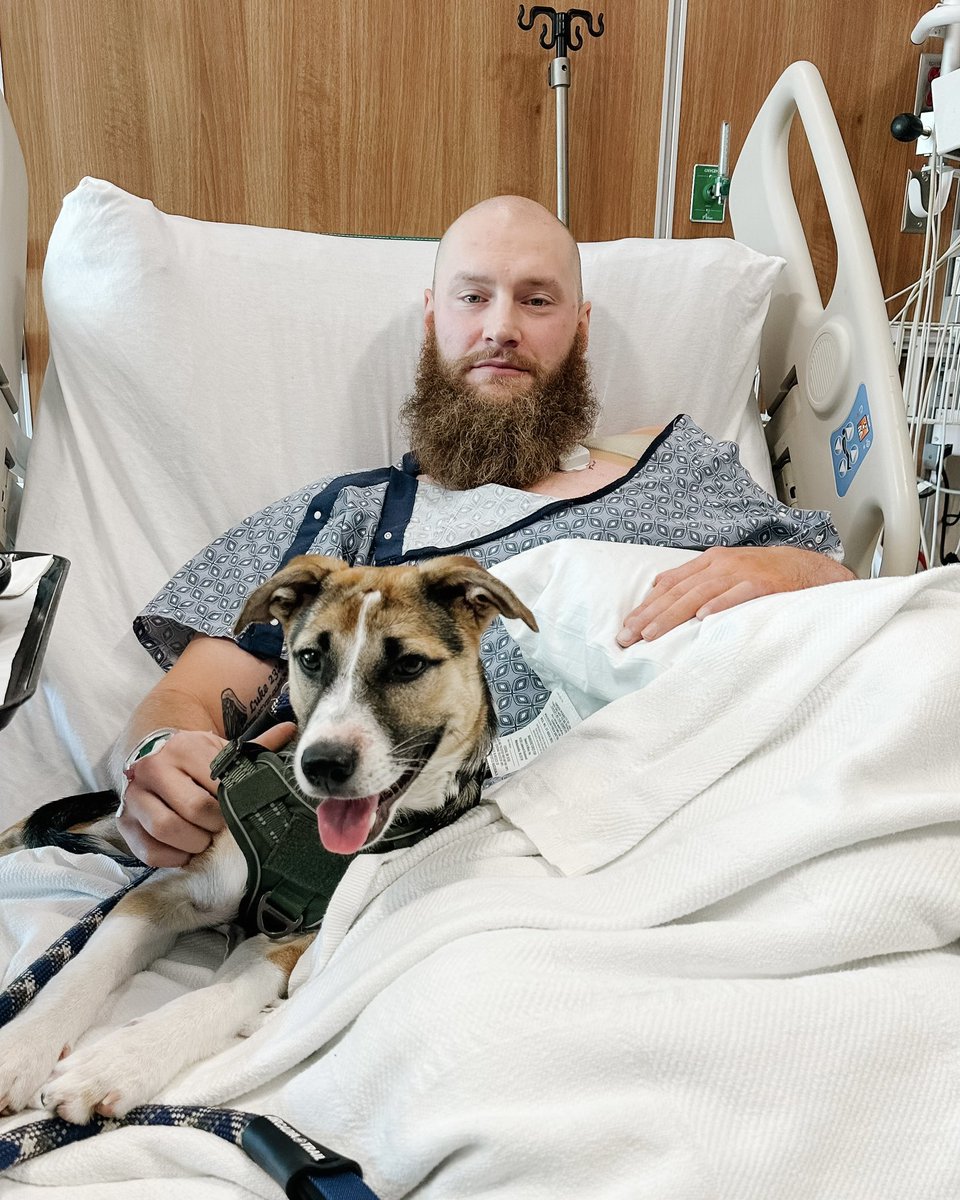 Nicole McAlpine tweet media