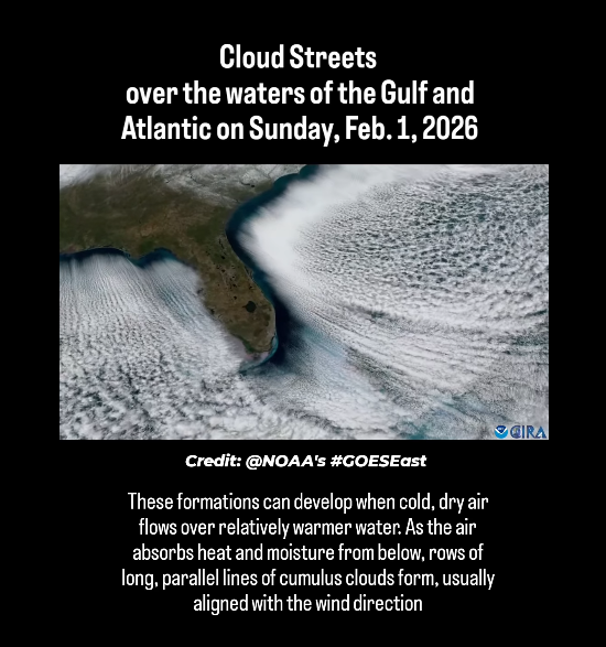 Feniks_projects's tweet photo. Oh my .. what an amazing fieldday for all those chemtrail zealots out there. I feel so sorry for them, not knowing that the real reason for these amazing atmospheric phenomena is sooooo much more exiting then their conspiracy theorie. Nah .. their loss.
 https://t.co/QwMZkYkTJg https://t.co/G4A31hWmpT