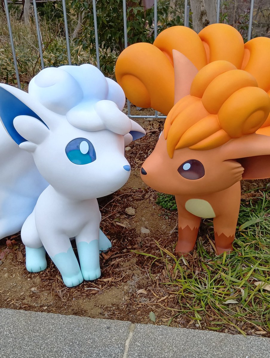 jeshikalina5pui's tweet image. 個人的お気に入りスポット

ロコン＆アロコンは、ブイブイヴォヤージュのそばに仲睦まじくいるのですが
昼と夜では全然違って見えて…

今はちょうど、よみうりランドのイルミネーションもあるので夜はデートしてるよう…