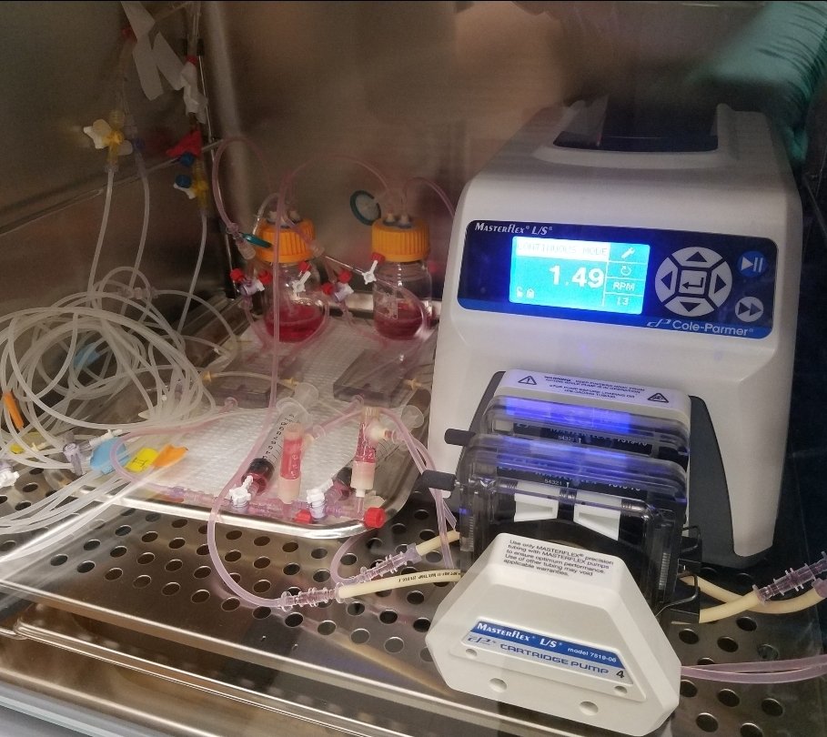 DrKNowicki's tweet photo. Designing the geometry of the devices and validation with computational flow dynamics was a lot easier than making them work in practice! https://t.co/BLJCwYq522