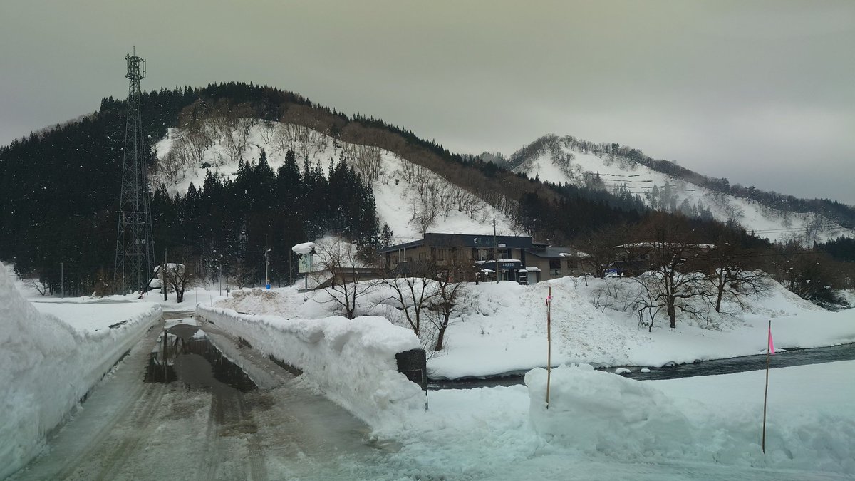 ねっこ(っ ॑꒳ ॑c)₺ƾ tweet media