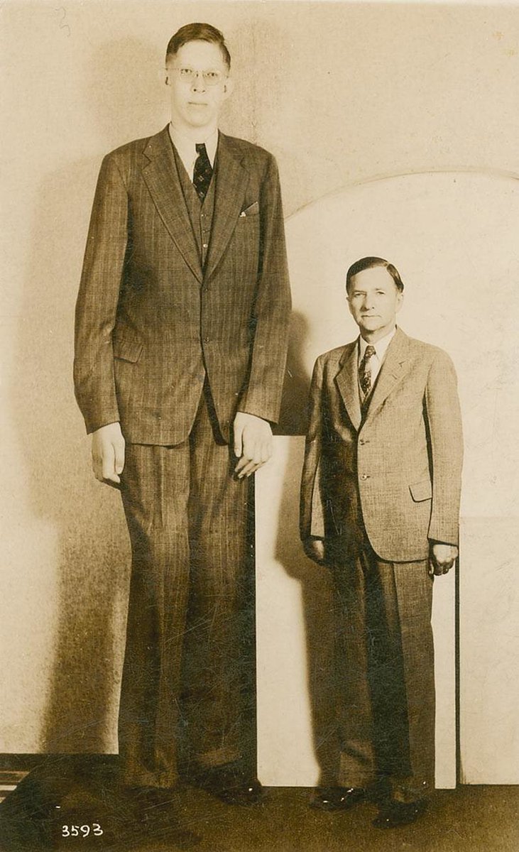 ShawsLine's tweet photo. @LickyOnMyBlick @ComatoseGoat @nypost Robert Wadlow. He was 8'11". https://t.co/ewZdFhkyB7