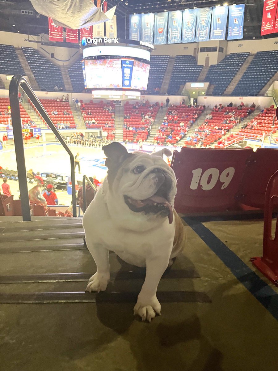 TechXXII tweet media