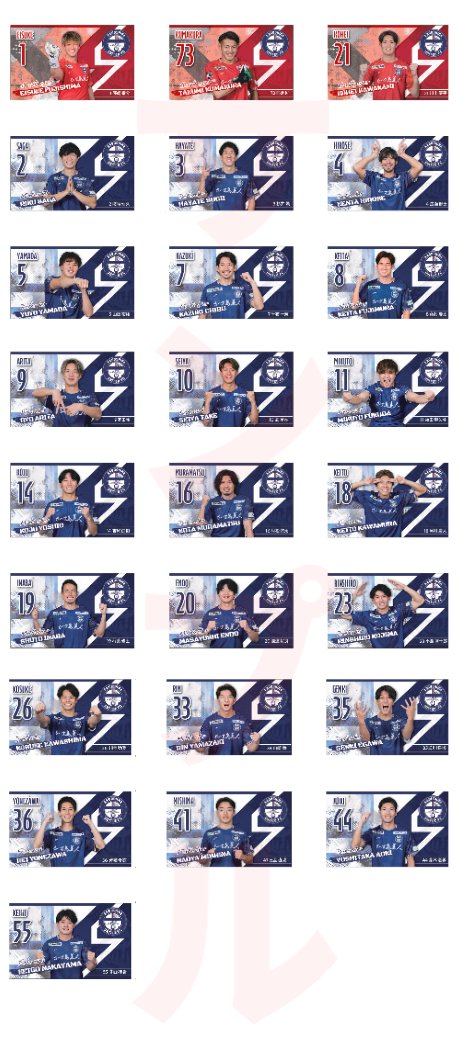 🏟️来場者限定のLINEミニアプリ抽選会🎯】 百年構想リーグでも開催が