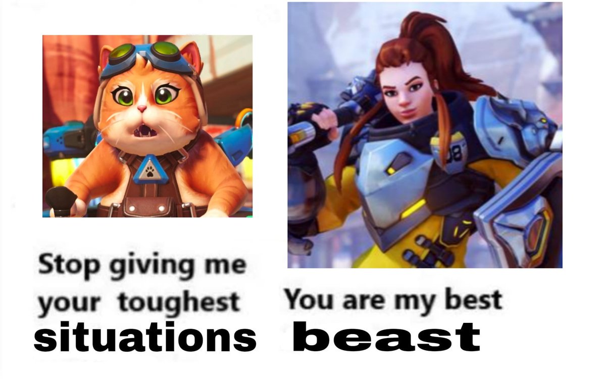 Brig found a stray cat and decided to give her a jetpack #owtwt #cat #normofthenorthmovie