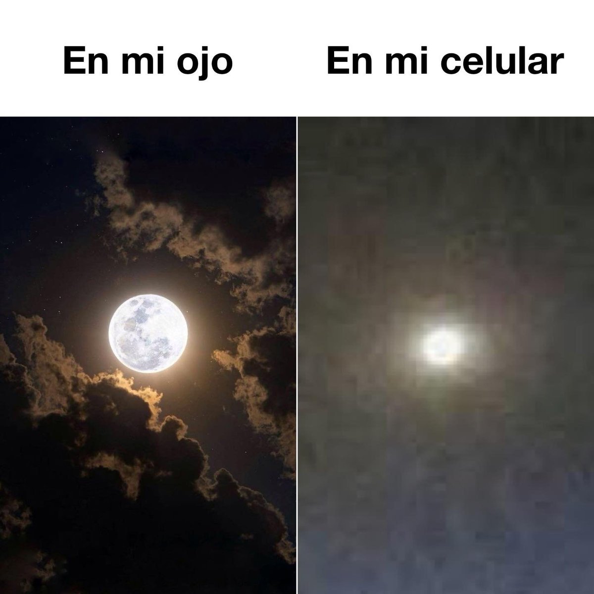 Más Ciencia tweet media