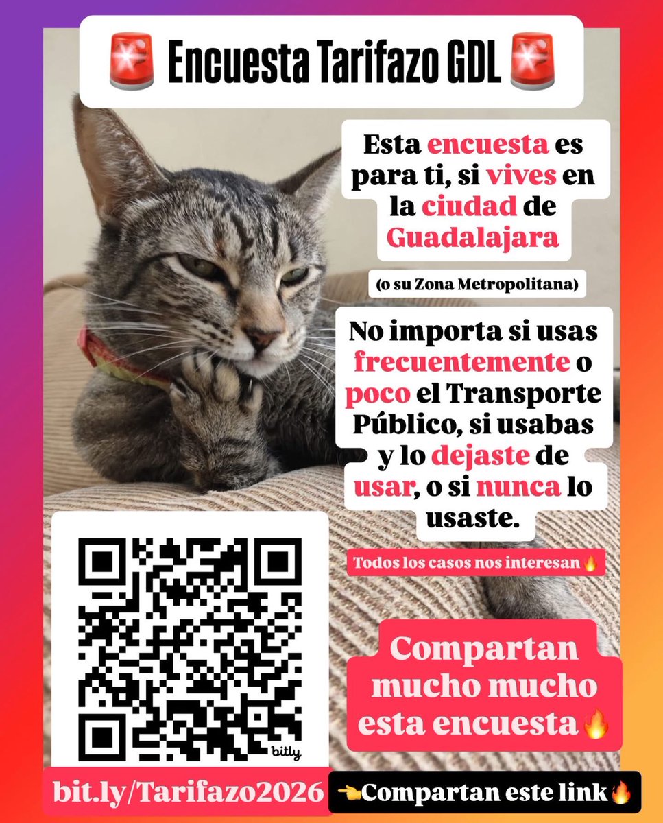 Gatitos contra la Desigualdad tweet media