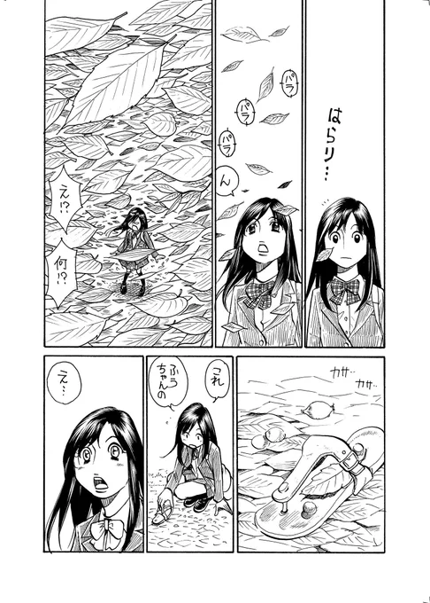 (5/5) 