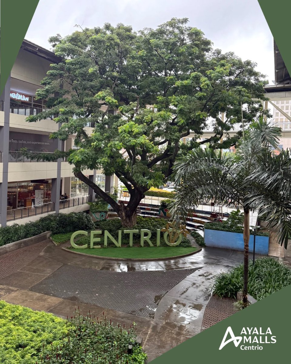 AyalaCentrio's tweet photo. Gloomy skies today. If you’re out and about, please take care.

Stay safe and dry, everyone. ☔ https://t.co/pGr1lbmItc