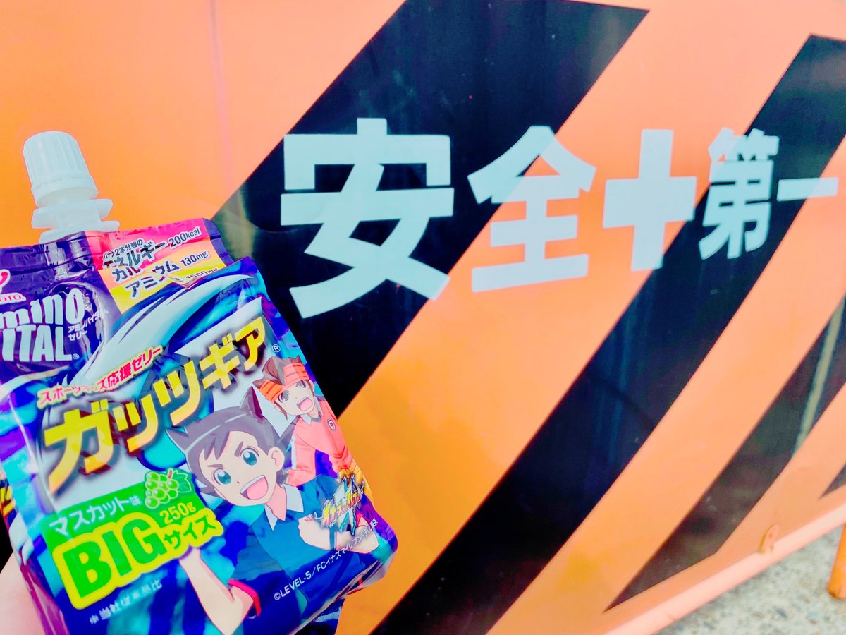 備蓄してあった最後の旧ﾊﾟｹガッツギア