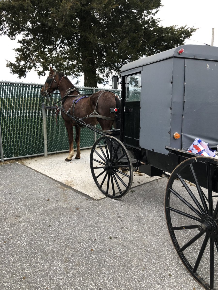 Rivka Neriya-Ben Shahar tells the story of a funny-yet-poignant experience from when she lived in an Amish community and sought to bring some of her friends to see the ocean.

thelehrhaus.com/culture/two-am…