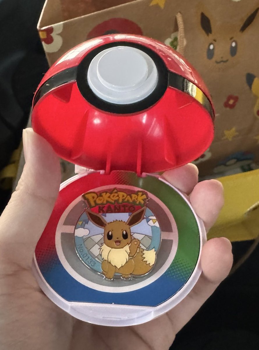 イーブイのピンズ当てたぞ神✨️🙏 #ポケパークカントー #pokeparkkanto