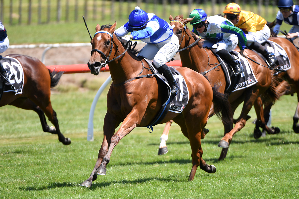 Logan Racing Stables tweet media