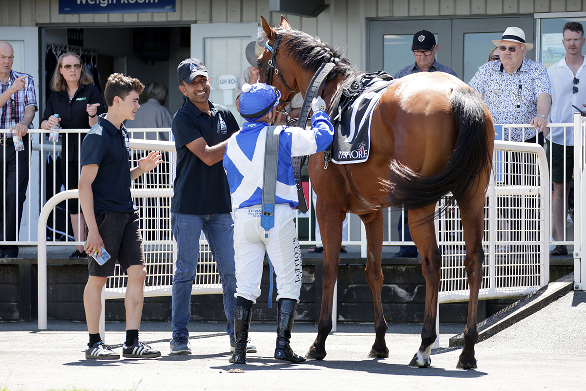 Logan Racing Stables tweet media