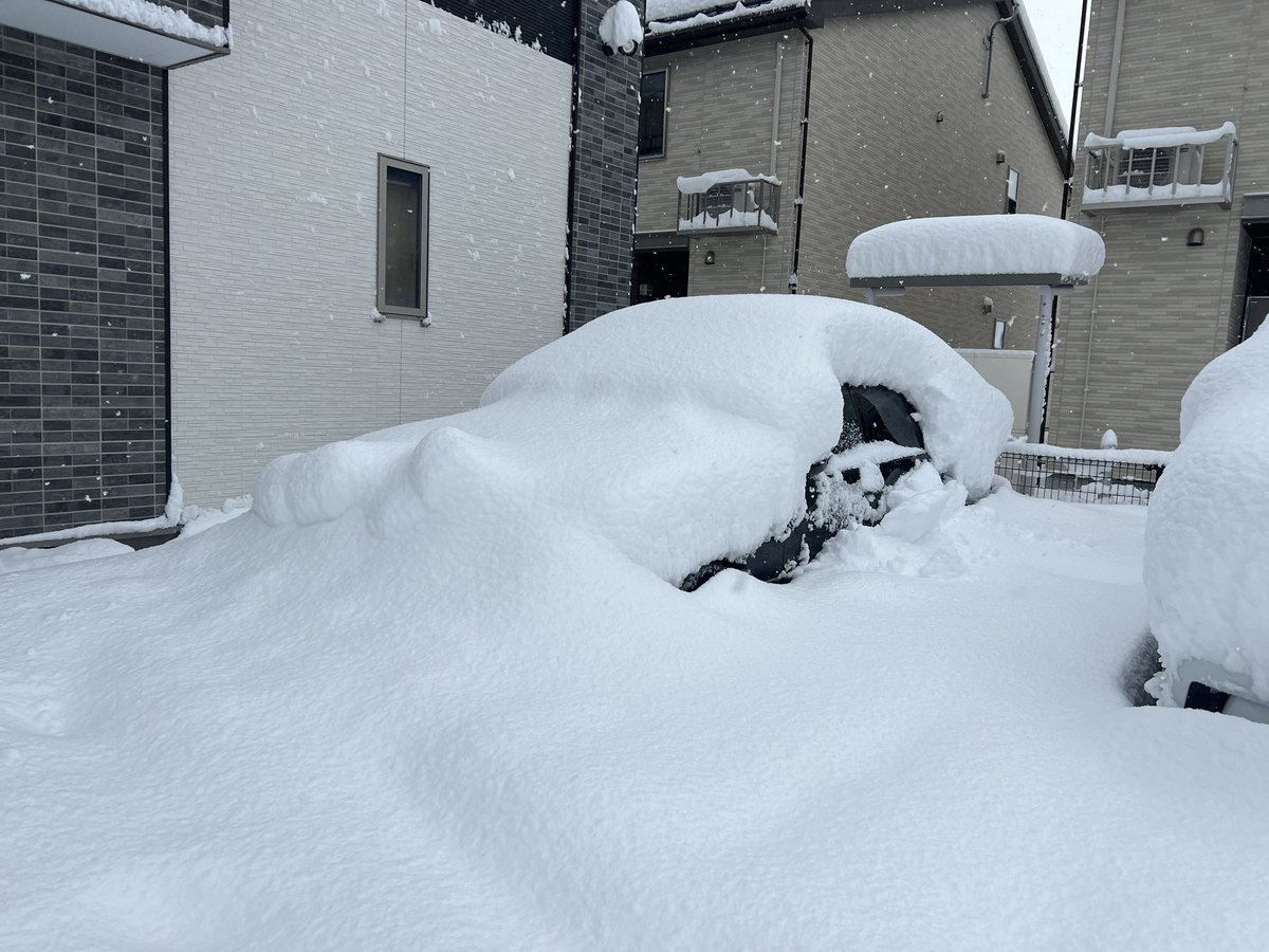 pikal55's tweet photo. 車　放置し過ぎた…

#大雪 
#積雪 https://t.co/NASjBgO95v