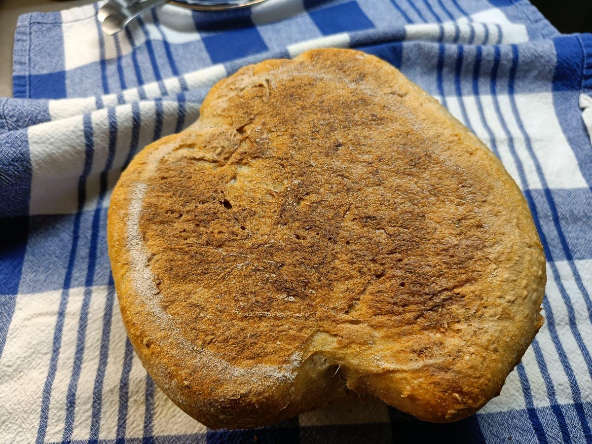 HilpoJuhana's tweet image. One dough. Three different breads.

What differs here is the shaping, proofing and baking.

Oat bread, oat loaf, and oat baguette.

People who don’t bake very often are always worried about whether the dough will rise.
It will, under the right conditions, 1/6
#sourdough #oatbread