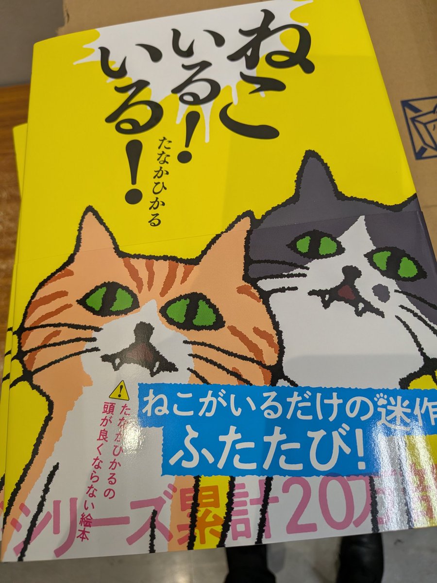 【児童書/絵本】
『ねこいる！いる！』
#たなかひかる #ポプラ社 
シリーズ累計20万部越えの迷作「ねこいる！」の第二弾が発売‼️
子どもたちは笑い、大人たちは癒やされること間違いなし😸
最後のページをめくるあなたは笑撃に耐えられる⁉️www
#ららぽーと柏の葉