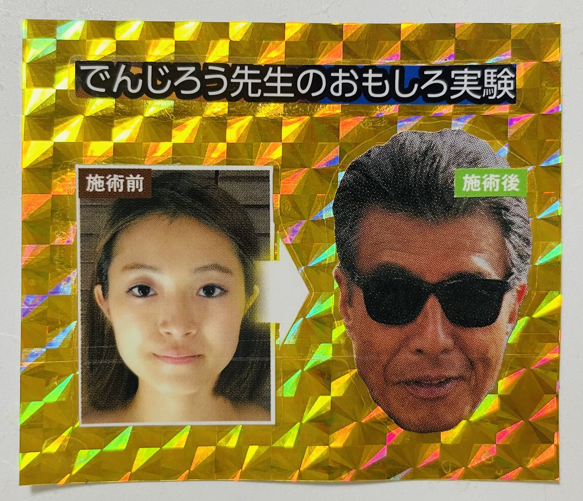 LaviverRS's tweet image. これは芸能人系。チラシやフリーペーパーなどストックしておくと捗る。

#駄コラシール