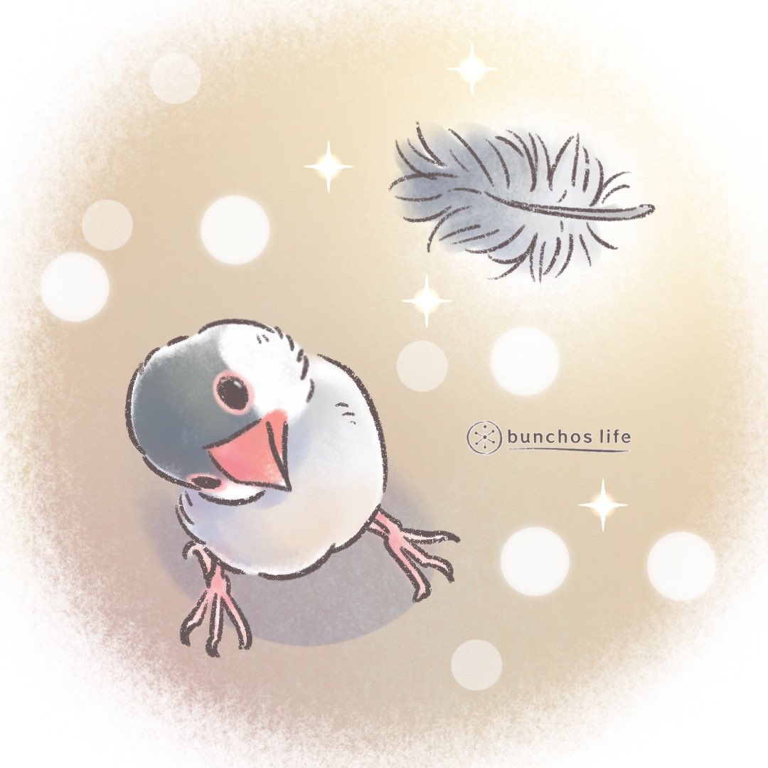 こむぎ🕊️ (@komugi_chan55) / Posts / X