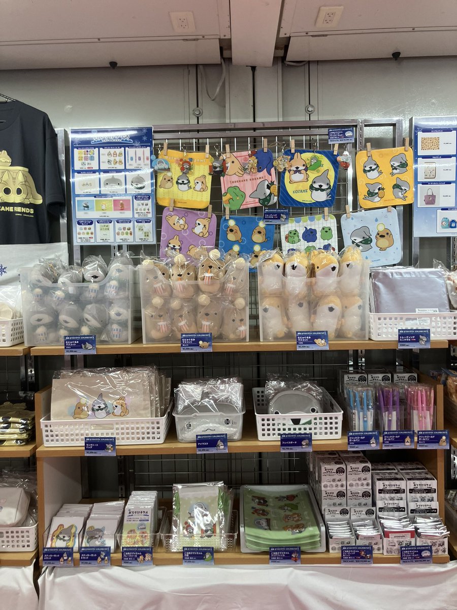 【アカウントは移行しました】KADOKAWA Anime公式 tweet media