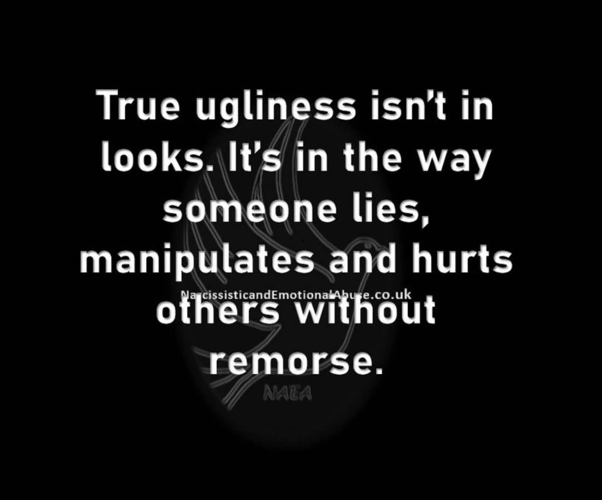 Ryan Daigler - Exposing Narcissistic Abuse 🚩🚩 tweet media