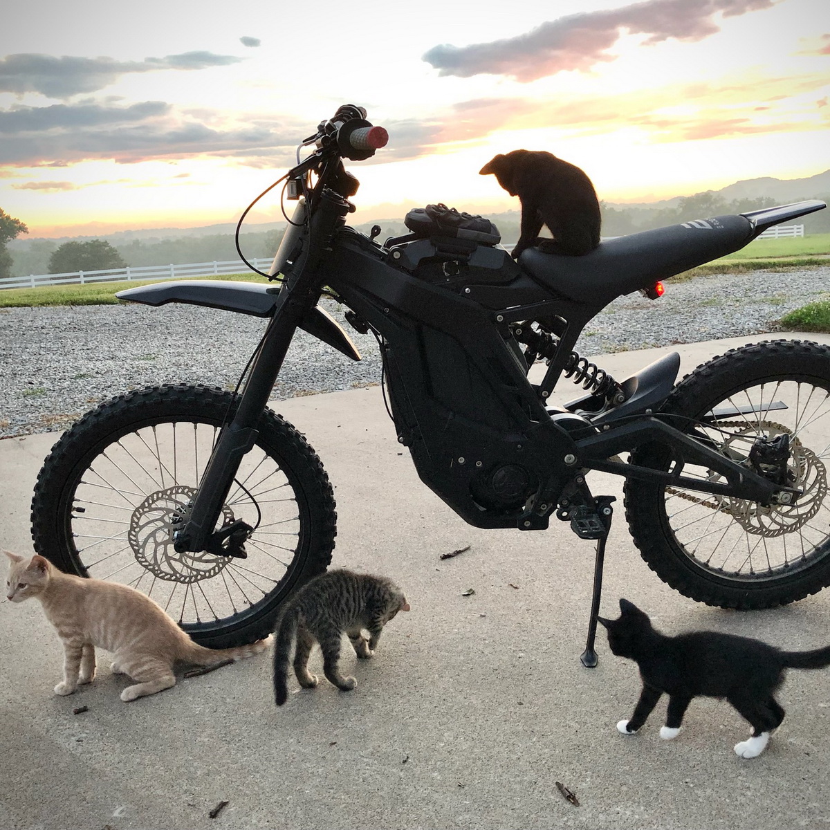 topperstarCN's tweet image. All paws ready . We are rushing the  producing , packing, shipping of our Airpods pro 3 tips ..Catch last shipment before CNY holidays. 
 
#airpodspro3 #Earplug #Topperstar #ChineseManufacturer