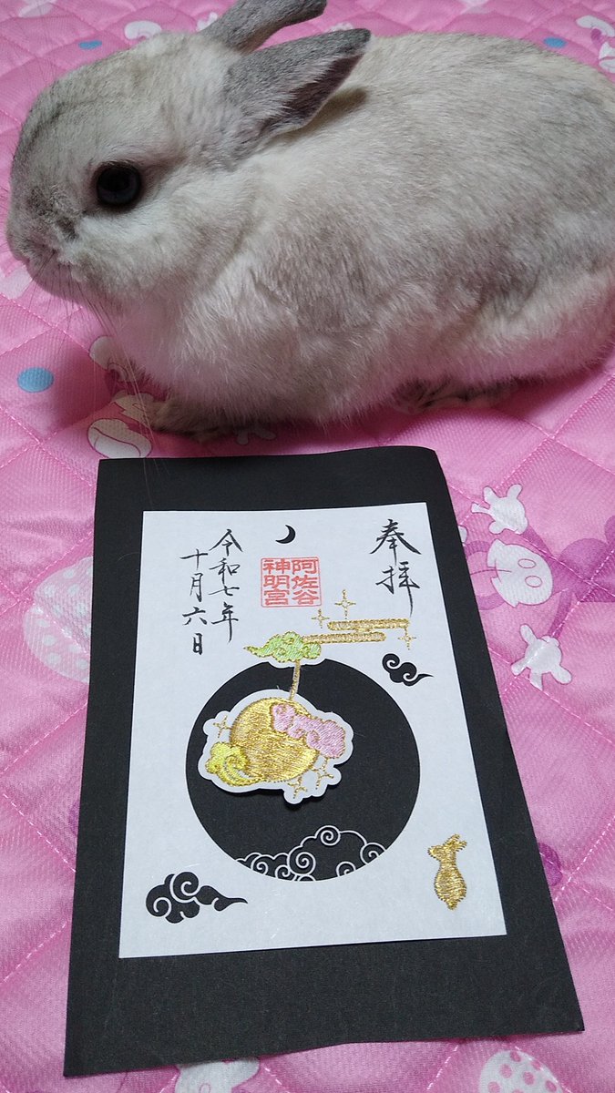 プリンセスラビット tweet media