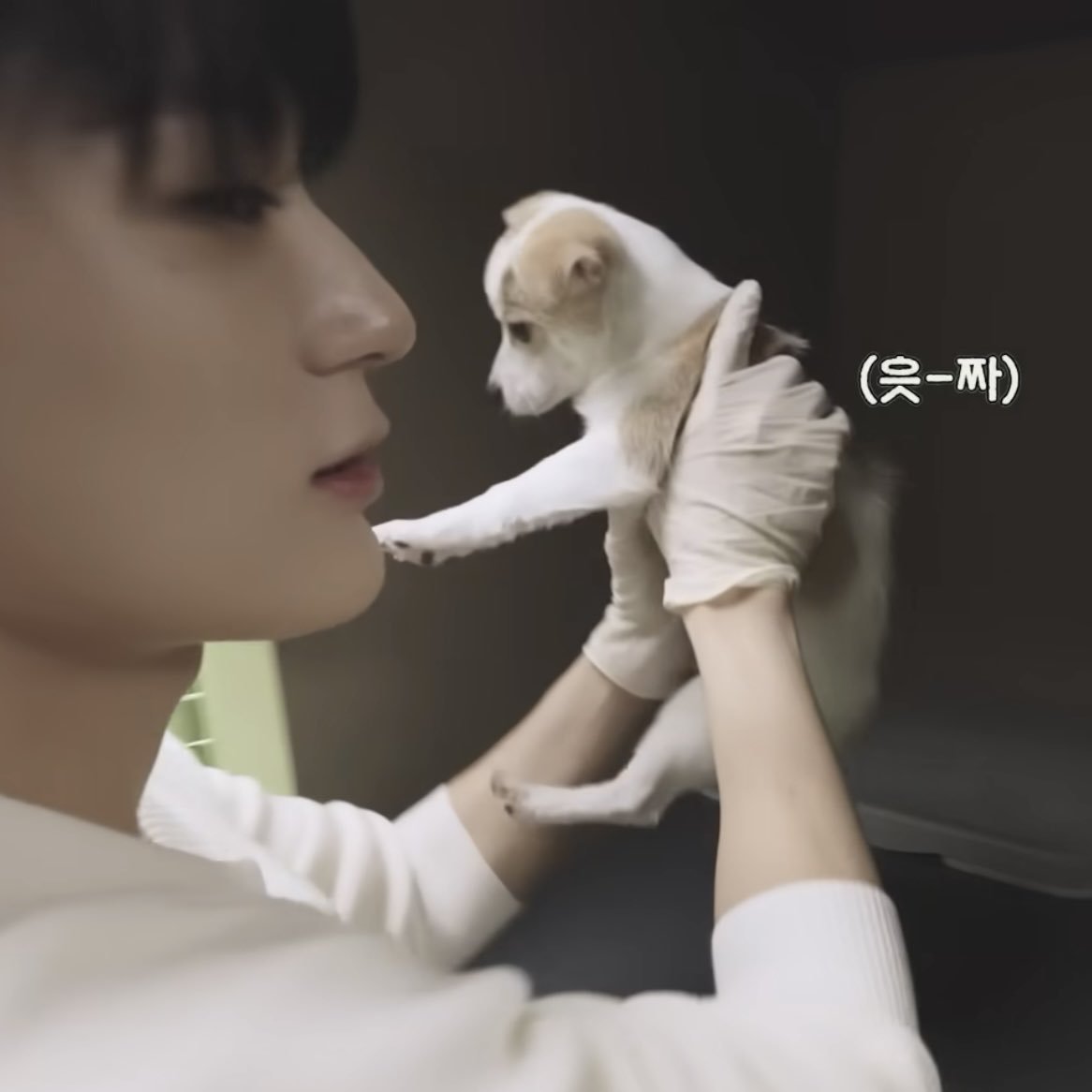 happierjeno's tweet image. 😭😭😭😭😭😭