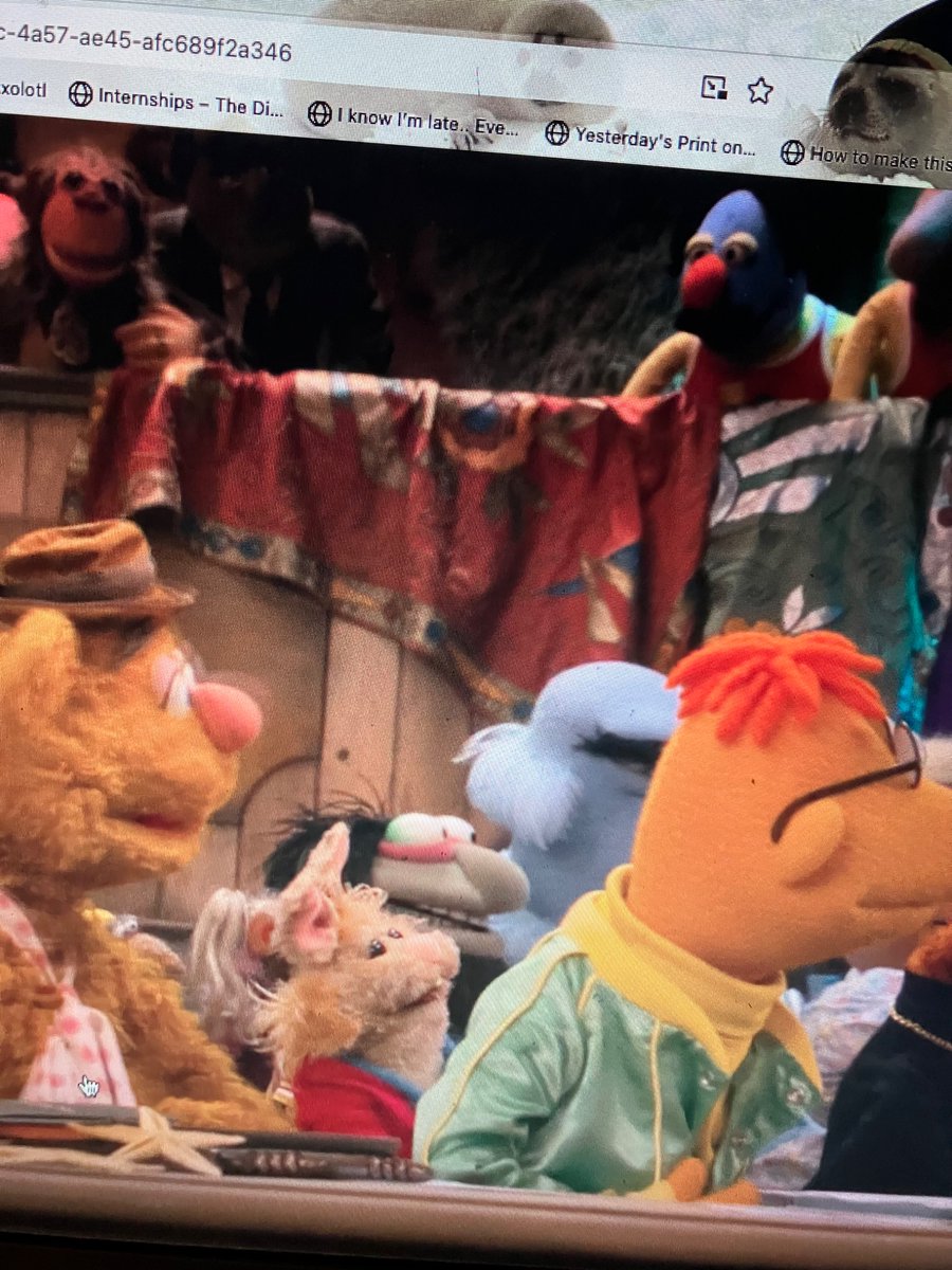 skylinesdemos's tweet image. bean bunny is so little im gonna burst into tears