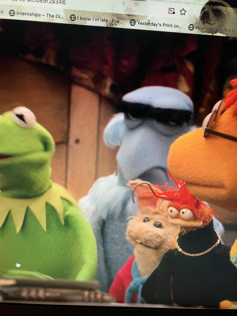 skylinesdemos's tweet image. bean bunny is so little im gonna burst into tears