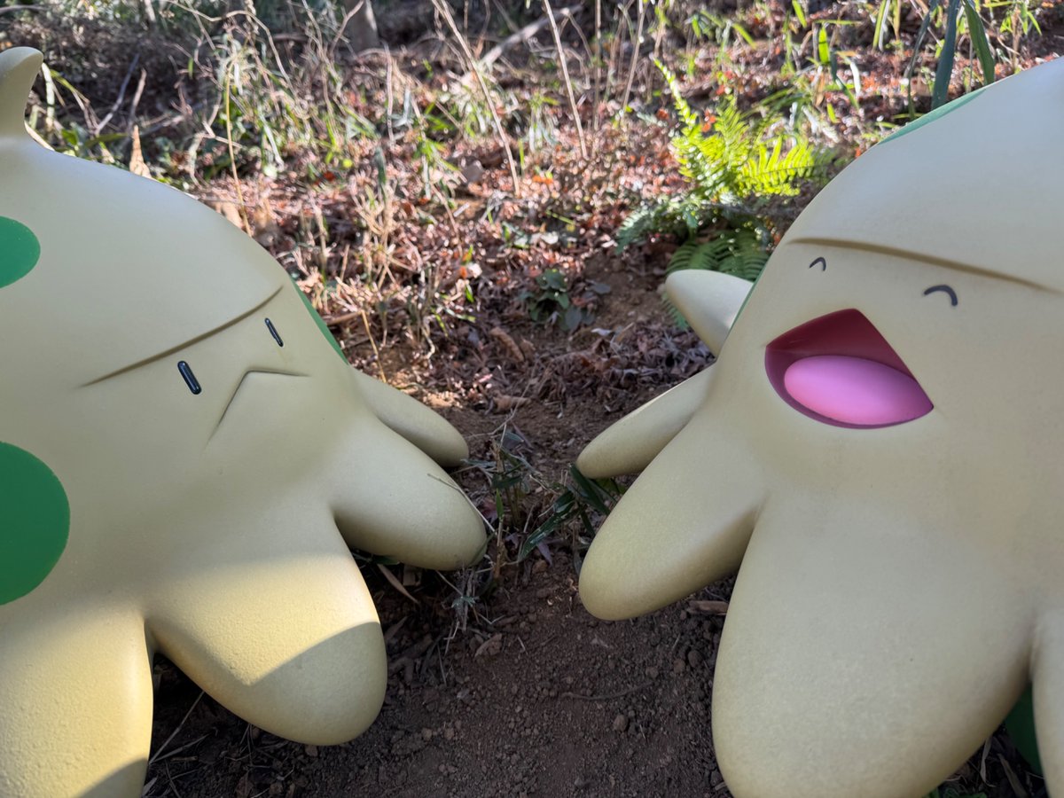 みみみ (@wPWMOzxAus5I1se) / Posts / X