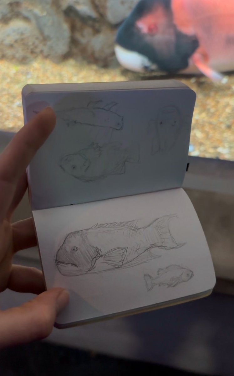 Laproxie tweet media