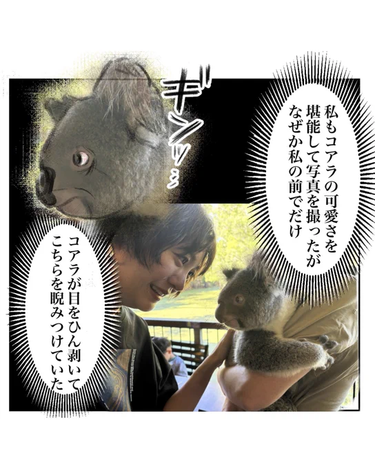 コアラと朝ごはんを食べる話(3/3) 
